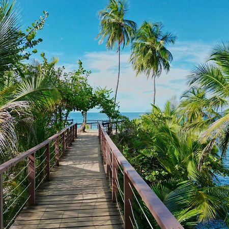 Oso Perezoso Pool Villa Puerto Viejo de Talamanca Eksteriør billede