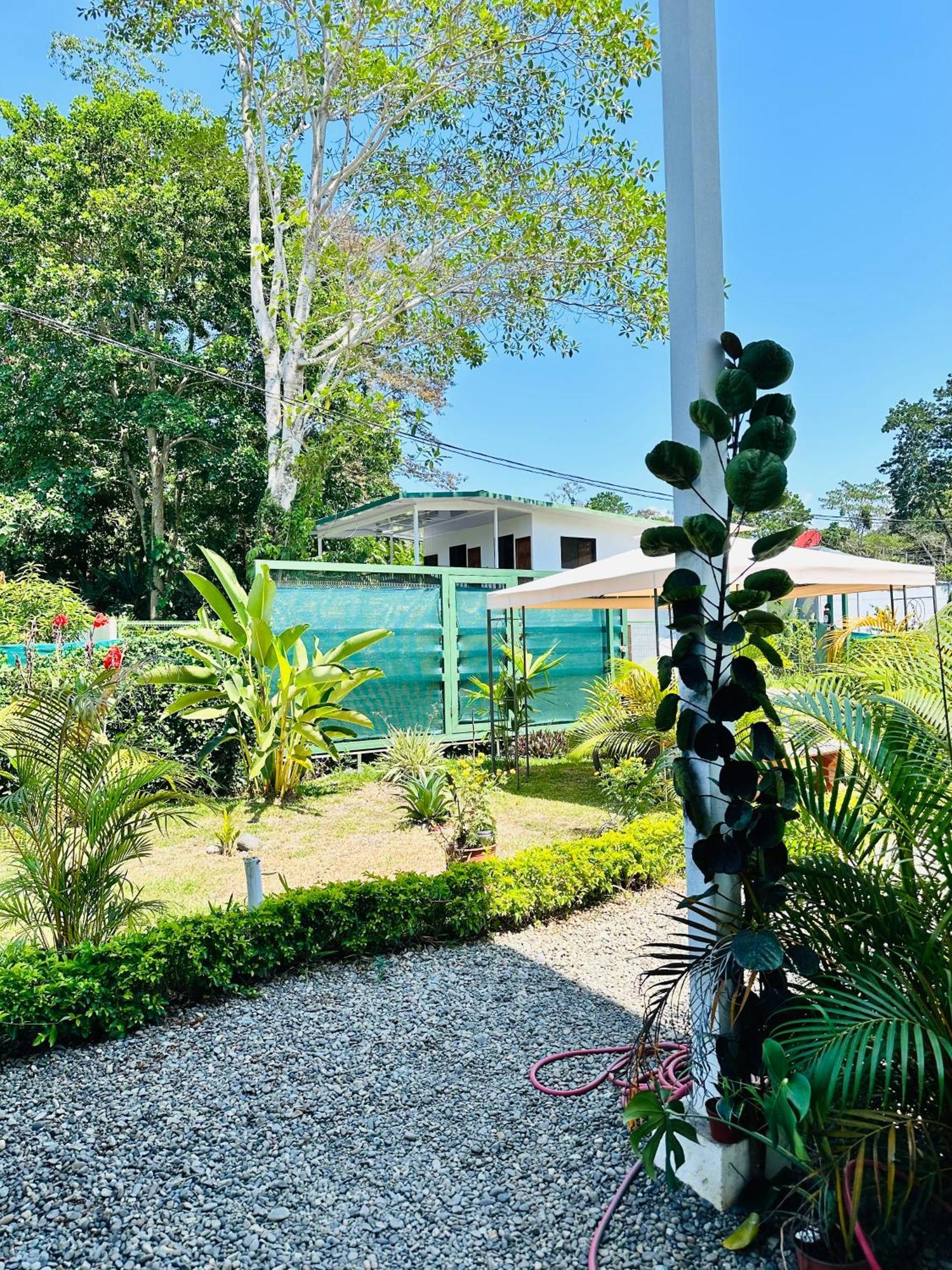 Oso Perezoso Pool Villa Puerto Viejo de Talamanca Eksteriør billede