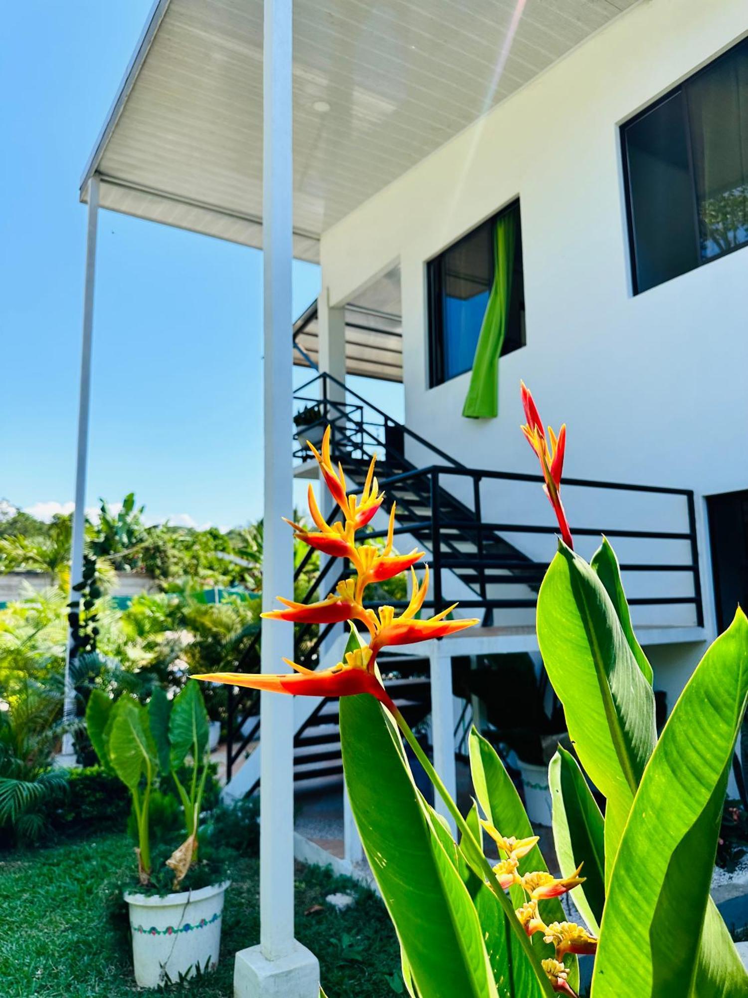 Oso Perezoso Pool Villa Puerto Viejo de Talamanca Eksteriør billede