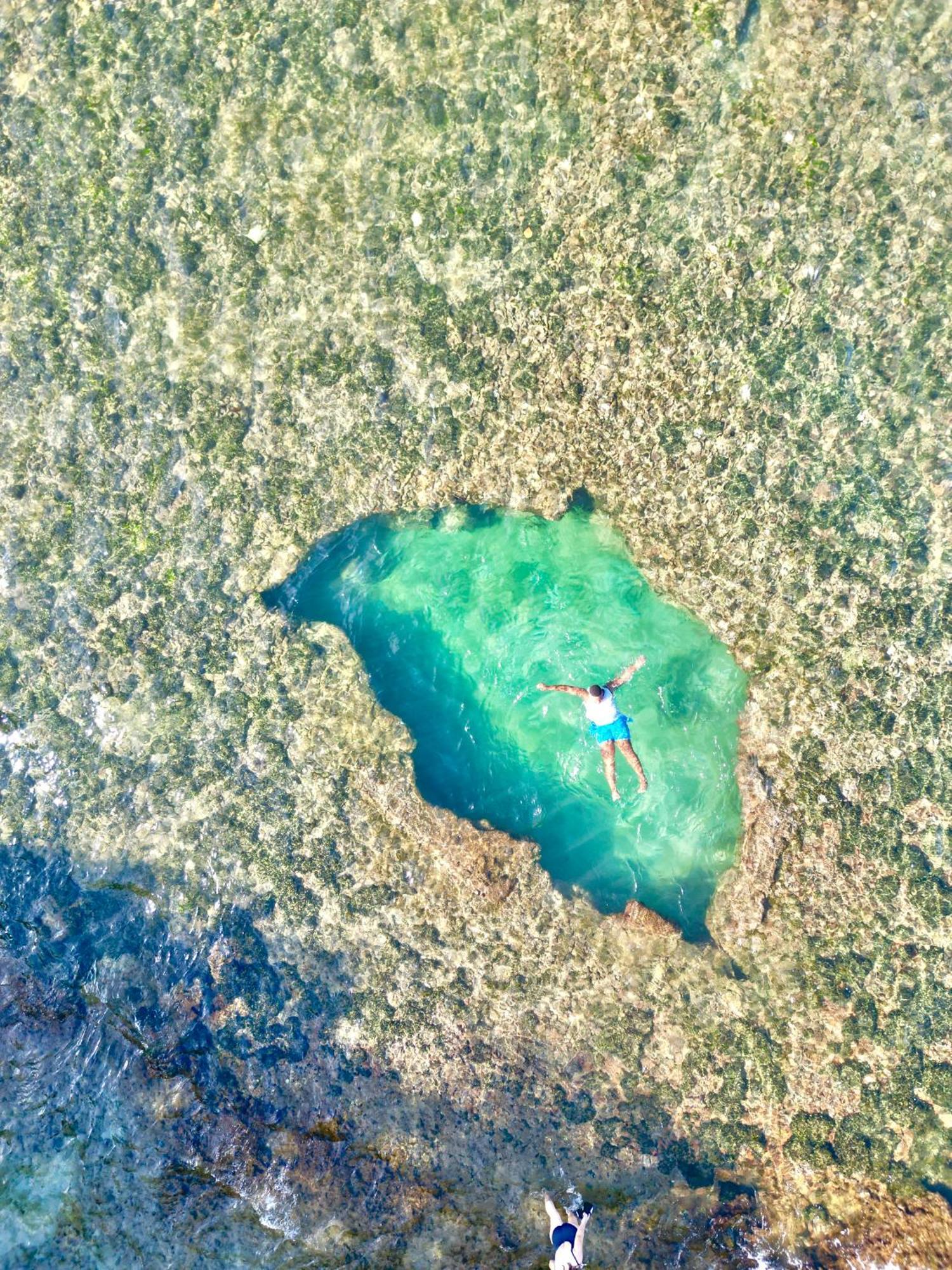 Oso Perezoso Pool Villa Puerto Viejo de Talamanca Eksteriør billede