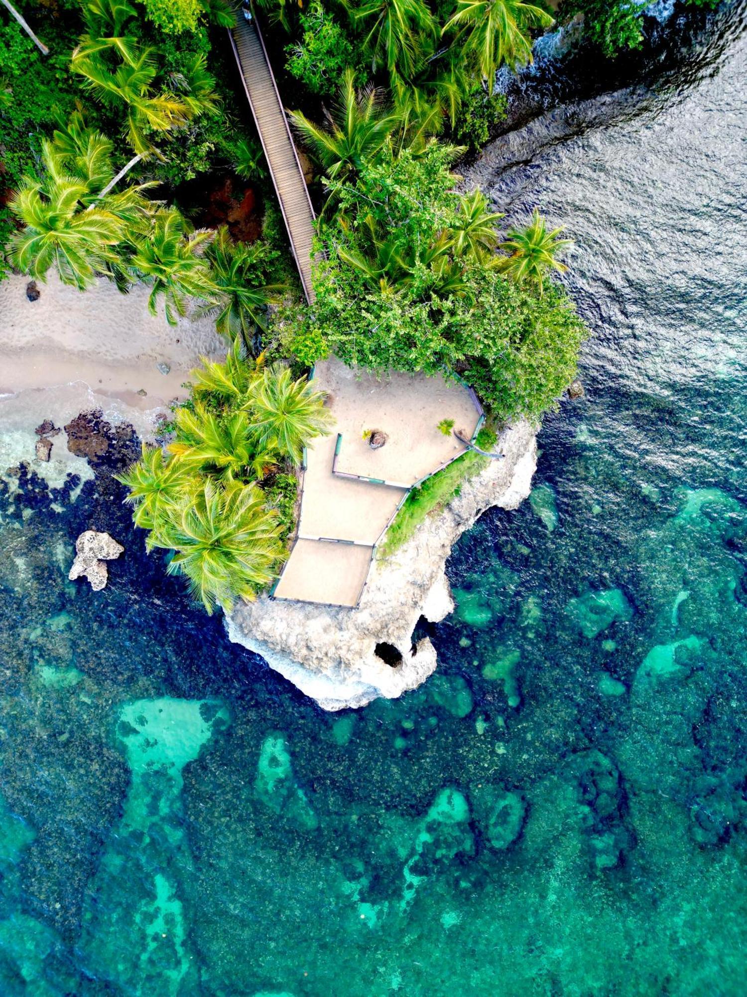 Oso Perezoso Pool Villa Puerto Viejo de Talamanca Eksteriør billede