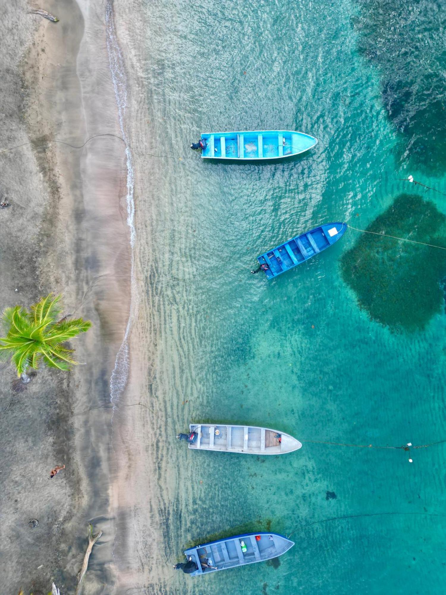 Oso Perezoso Pool Villa Puerto Viejo de Talamanca Eksteriør billede